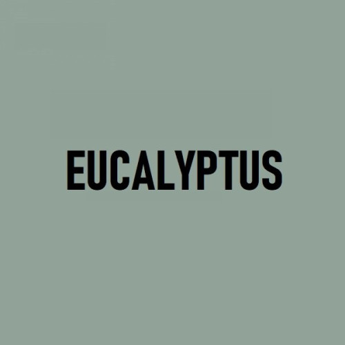 Велотренажер  Kettler Hoi Frame Speed Eucalyptus - фото №10